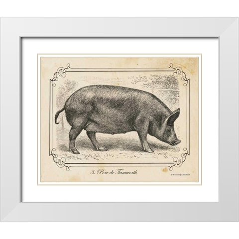 Farm Pig I White Modern Wood Framed Art Print with Double Matting by Babbitt, Gwendolyn