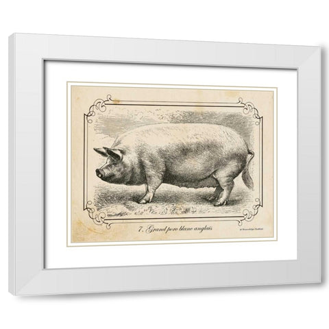 Farm Pig II White Modern Wood Framed Art Print with Double Matting by Babbitt, Gwendolyn