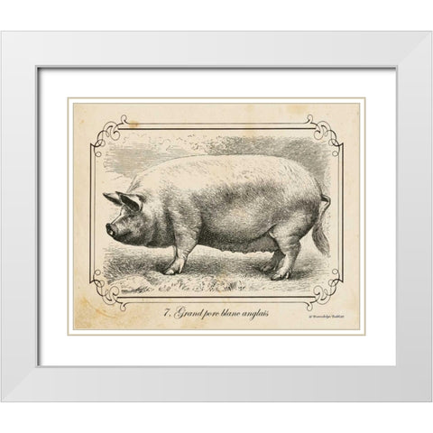 Farm Pig II White Modern Wood Framed Art Print with Double Matting by Babbitt, Gwendolyn