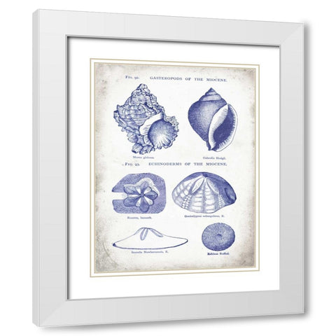 Indigo Shells I White Modern Wood Framed Art Print with Double Matting by Babbitt, Gwendolyn