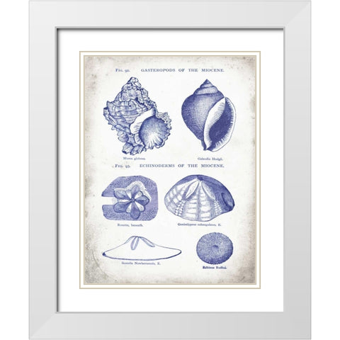 Indigo Shells I White Modern Wood Framed Art Print with Double Matting by Babbitt, Gwendolyn