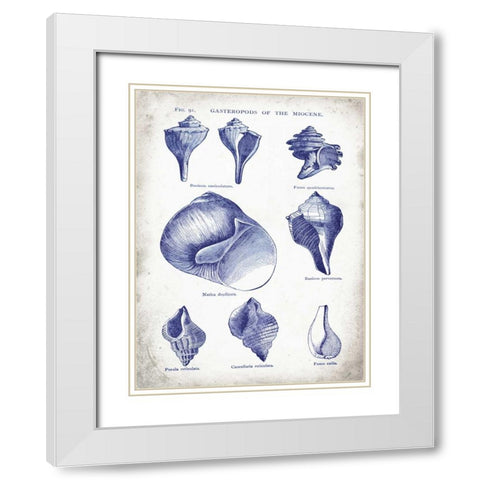 Indigo Shells II White Modern Wood Framed Art Print with Double Matting by Babbitt, Gwendolyn