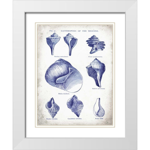 Indigo Shells II White Modern Wood Framed Art Print with Double Matting by Babbitt, Gwendolyn