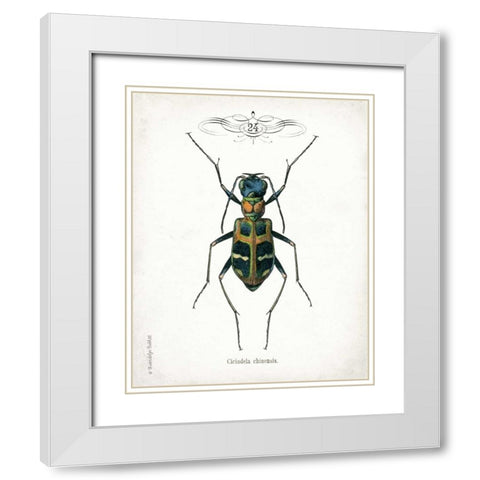 Beetle I White Modern Wood Framed Art Print with Double Matting by Babbitt, Gwendolyn