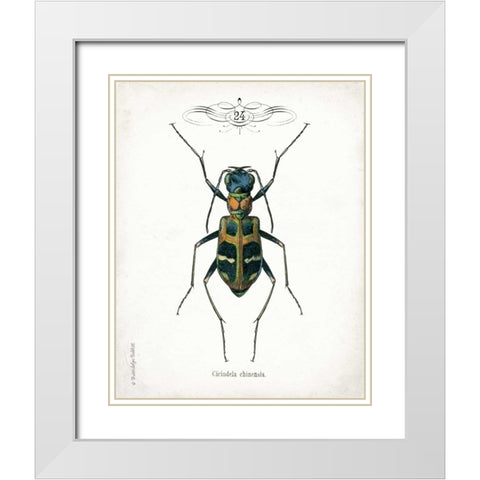 Beetle I White Modern Wood Framed Art Print with Double Matting by Babbitt, Gwendolyn