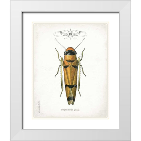 Beetle II White Modern Wood Framed Art Print with Double Matting by Babbitt, Gwendolyn