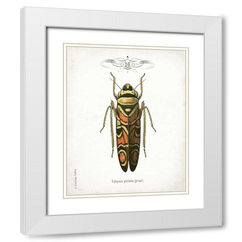 Beetle III White Modern Wood Framed Art Print with Double Matting by Babbitt, Gwendolyn