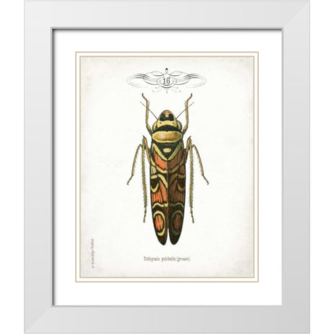 Beetle III White Modern Wood Framed Art Print with Double Matting by Babbitt, Gwendolyn