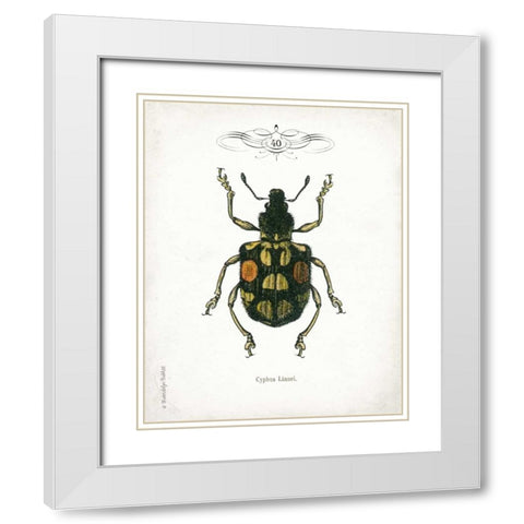 Beetle IV White Modern Wood Framed Art Print with Double Matting by Babbitt, Gwendolyn