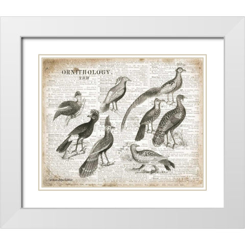 Birds I White Modern Wood Framed Art Print with Double Matting by Babbitt, Gwendolyn