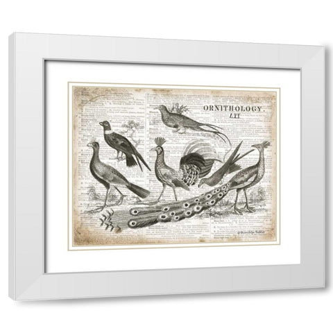 Birds II White Modern Wood Framed Art Print with Double Matting by Babbitt, Gwendolyn