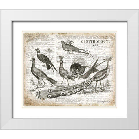 Birds II White Modern Wood Framed Art Print with Double Matting by Babbitt, Gwendolyn