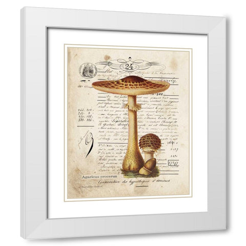 Mushroom I White Modern Wood Framed Art Print with Double Matting by Babbitt, Gwendolyn