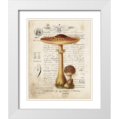 Mushroom I White Modern Wood Framed Art Print with Double Matting by Babbitt, Gwendolyn