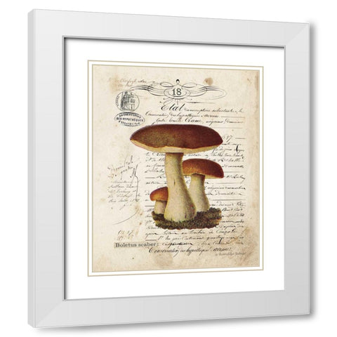 Mushroom II White Modern Wood Framed Art Print with Double Matting by Babbitt, Gwendolyn