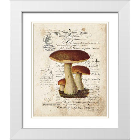 Mushroom II White Modern Wood Framed Art Print with Double Matting by Babbitt, Gwendolyn