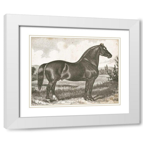Horse Etching I White Modern Wood Framed Art Print with Double Matting by Babbitt, Gwendolyn