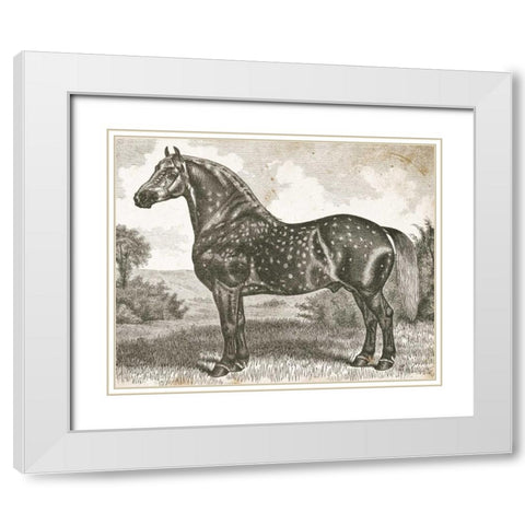 Horse Etching II White Modern Wood Framed Art Print with Double Matting by Babbitt, Gwendolyn