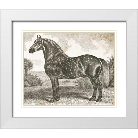 Horse Etching II White Modern Wood Framed Art Print with Double Matting by Babbitt, Gwendolyn