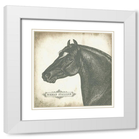 Norman Stallion White Modern Wood Framed Art Print with Double Matting by Babbitt, Gwendolyn