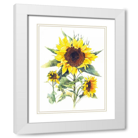 Sunflowers White Modern Wood Framed Art Print with Double Matting by Babbitt, Gwendolyn
