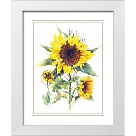 Sunflowers White Modern Wood Framed Art Print with Double Matting by Babbitt, Gwendolyn