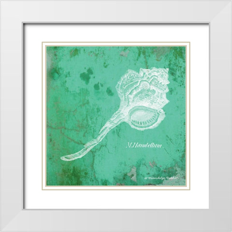 Caribbean Shell III White Modern Wood Framed Art Print with Double Matting by Babbitt, Gwendolyn
