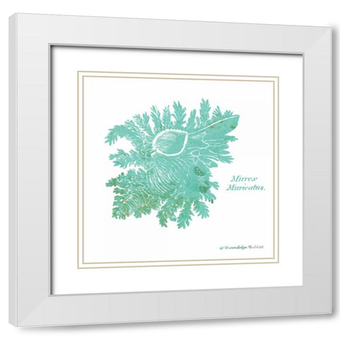Shell on White I White Modern Wood Framed Art Print with Double Matting by Babbitt, Gwendolyn