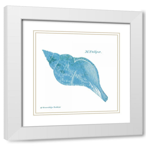 Shell on White II White Modern Wood Framed Art Print with Double Matting by Babbitt, Gwendolyn