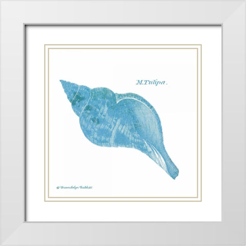 Shell on White II White Modern Wood Framed Art Print with Double Matting by Babbitt, Gwendolyn