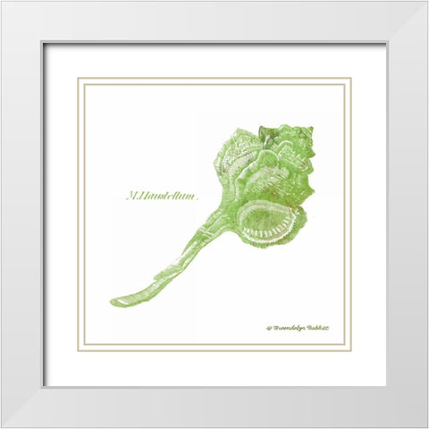 Shell on White IV White Modern Wood Framed Art Print with Double Matting by Babbitt, Gwendolyn