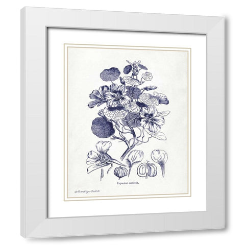 Indigo Botanical IV White Modern Wood Framed Art Print with Double Matting by Babbitt, Gwendolyn