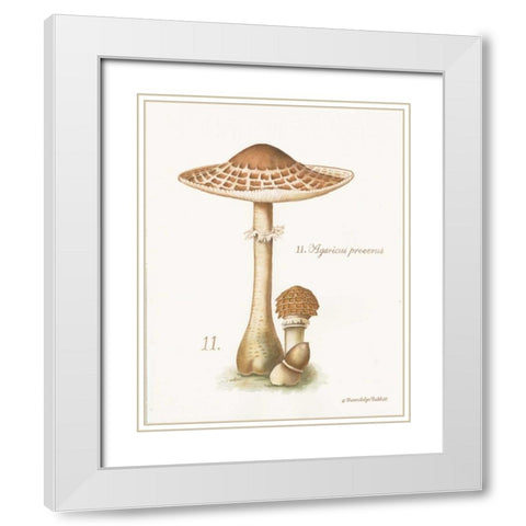 Mushroom I White Modern Wood Framed Art Print with Double Matting by Babbitt, Gwendolyn