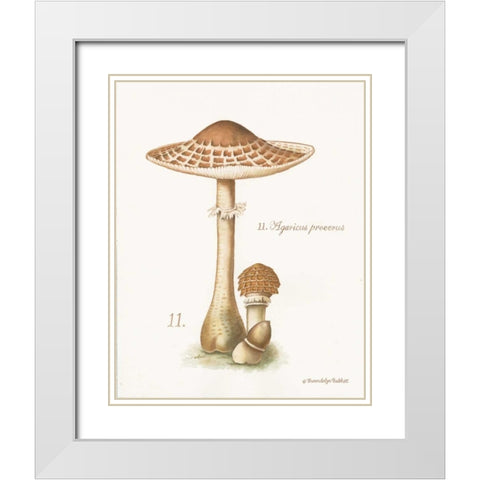 Mushroom I White Modern Wood Framed Art Print with Double Matting by Babbitt, Gwendolyn