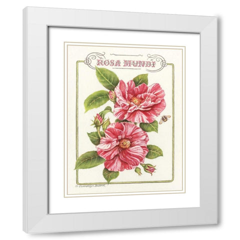 Rosa Mundi White Modern Wood Framed Art Print with Double Matting by Babbitt, Gwendolyn