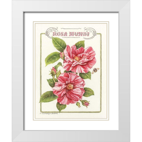 Rosa Mundi White Modern Wood Framed Art Print with Double Matting by Babbitt, Gwendolyn