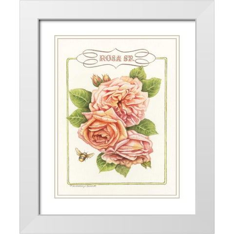 Rose Species White Modern Wood Framed Art Print with Double Matting by Babbitt, Gwendolyn