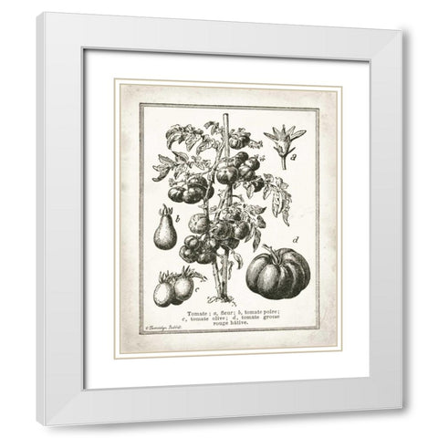 French Tomatoes White Modern Wood Framed Art Print with Double Matting by Babbitt, Gwendolyn