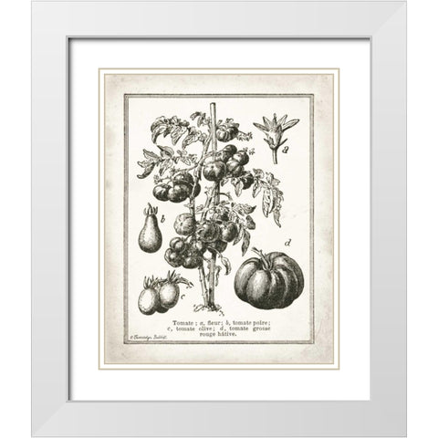 French Tomatoes White Modern Wood Framed Art Print with Double Matting by Babbitt, Gwendolyn