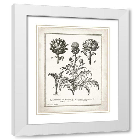 French Artichokes White Modern Wood Framed Art Print with Double Matting by Babbitt, Gwendolyn