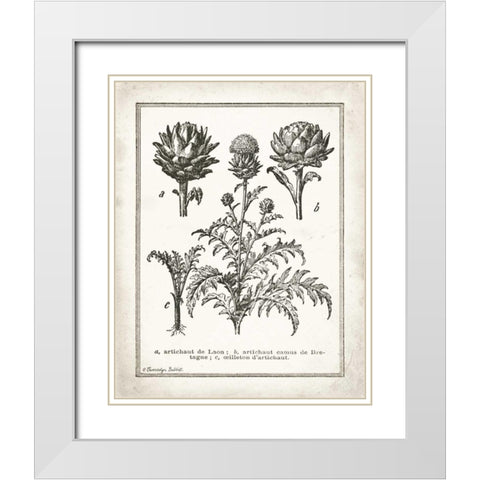 French Artichokes White Modern Wood Framed Art Print with Double Matting by Babbitt, Gwendolyn