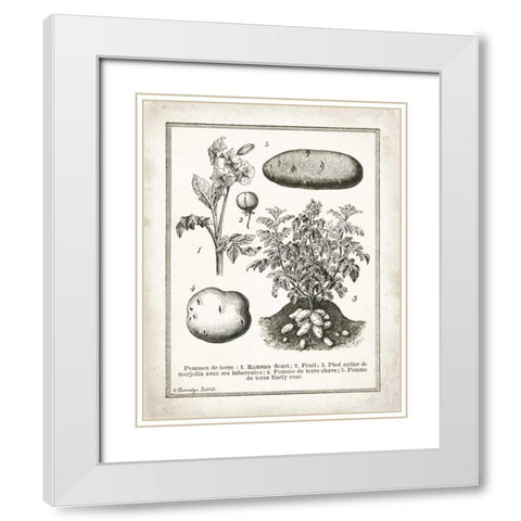 French Potatoes White Modern Wood Framed Art Print with Double Matting by Babbitt, Gwendolyn