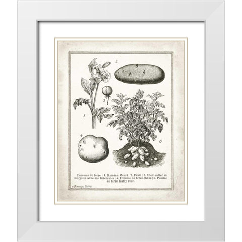 French Potatoes White Modern Wood Framed Art Print with Double Matting by Babbitt, Gwendolyn
