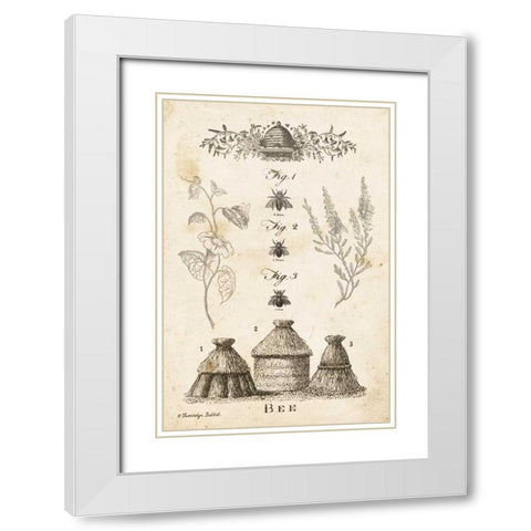 Bee Chart II White Modern Wood Framed Art Print with Double Matting by Babbitt, Gwendolyn