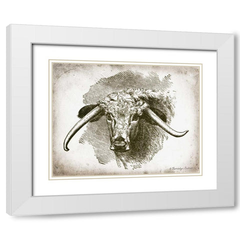 Cow Face II White Modern Wood Framed Art Print with Double Matting by Babbitt, Gwendolyn