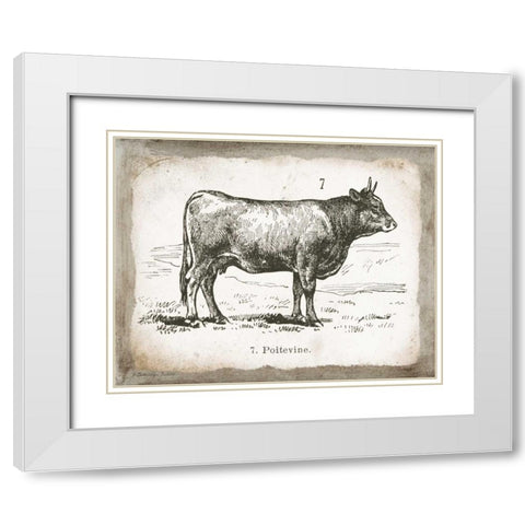 French Cow I White Modern Wood Framed Art Print with Double Matting by Babbitt, Gwendolyn