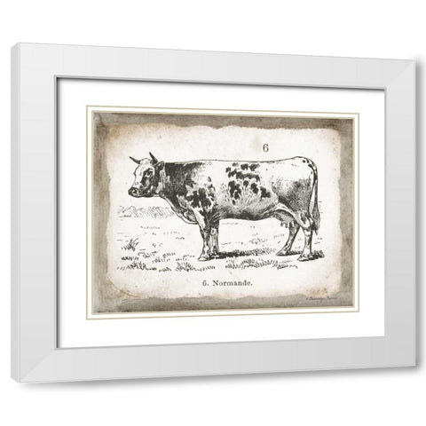 French Cow IV White Modern Wood Framed Art Print with Double Matting by Babbitt, Gwendolyn