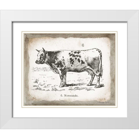 French Cow IV White Modern Wood Framed Art Print with Double Matting by Babbitt, Gwendolyn