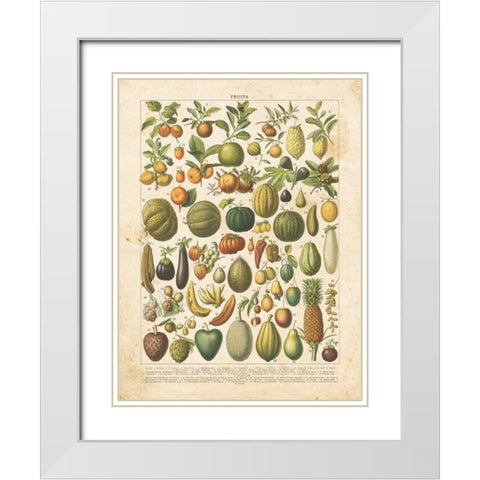 French Fruit Chart White Modern Wood Framed Art Print with Double Matting by Babbitt, Gwendolyn
