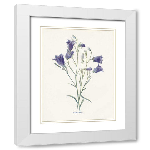 Hare-Bell White Modern Wood Framed Art Print with Double Matting by Babbitt, Gwendolyn
